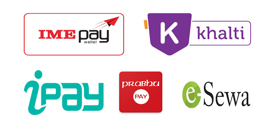 Online Payment Method